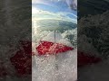 Dreamy barrel in Indo RAW POV
