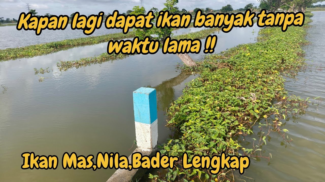 Mancing Kali Liaran Rasa Tambak !! 