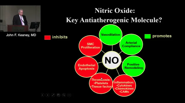 New Concepts of the Endothelium in Health and Dise...