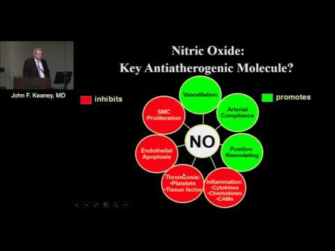 Video: Forskellen Mellem Amfithecium Og Endothecium