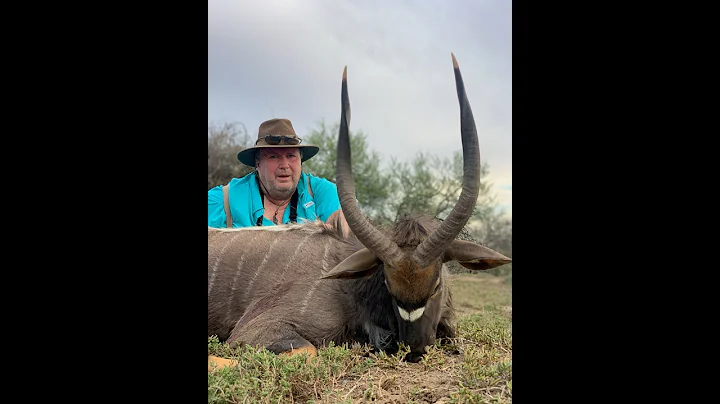 2021 safari arrival day