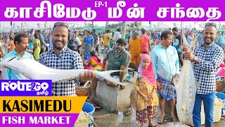 Kasimedu Biggest Fish Market | Fish Market History | Fish Auction in Kasimedu|Chennai|Route2go தமிழ்