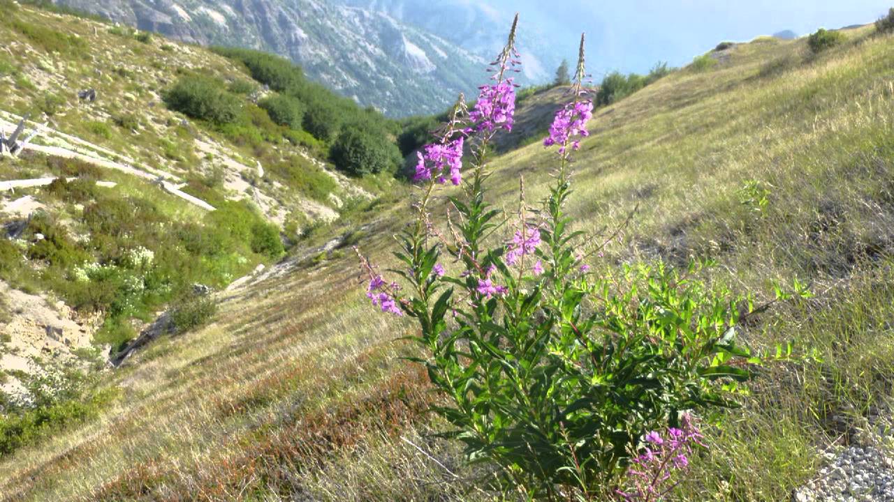 Ape Canyon - Plains of Abraham Mountain Biking