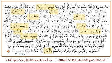 سورة الرعد من8 15 بصوت الشيخ محمود الحصري