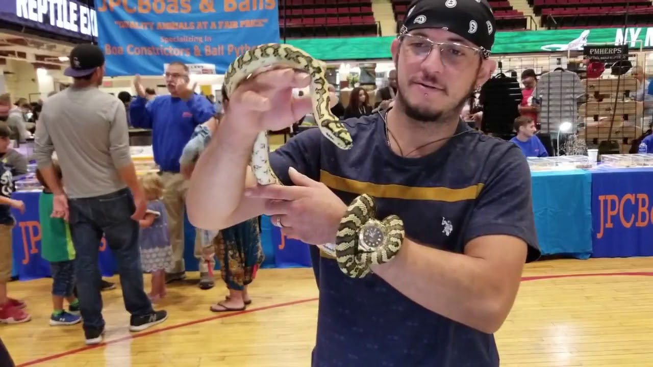 New York metro, Reptile expo. September 2018 YouTube