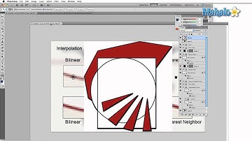 Learn Adobe Photoshop - General Preferences