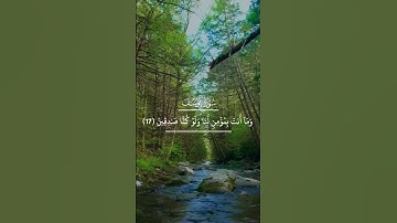تلاوة ما تيسر من سورة يوسف