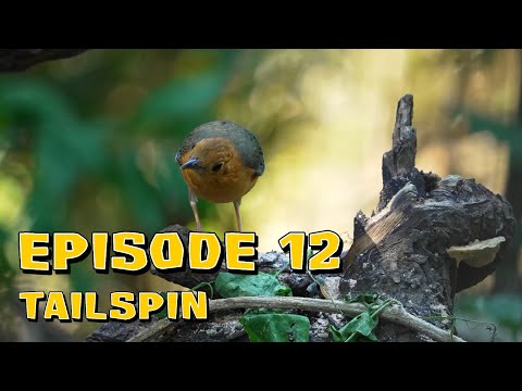 Surviving Bloomington All Stars - Episode 12: Tailspin