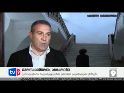 ახალი 9 | ევროკავშირის ანგარიში | 16.05.12