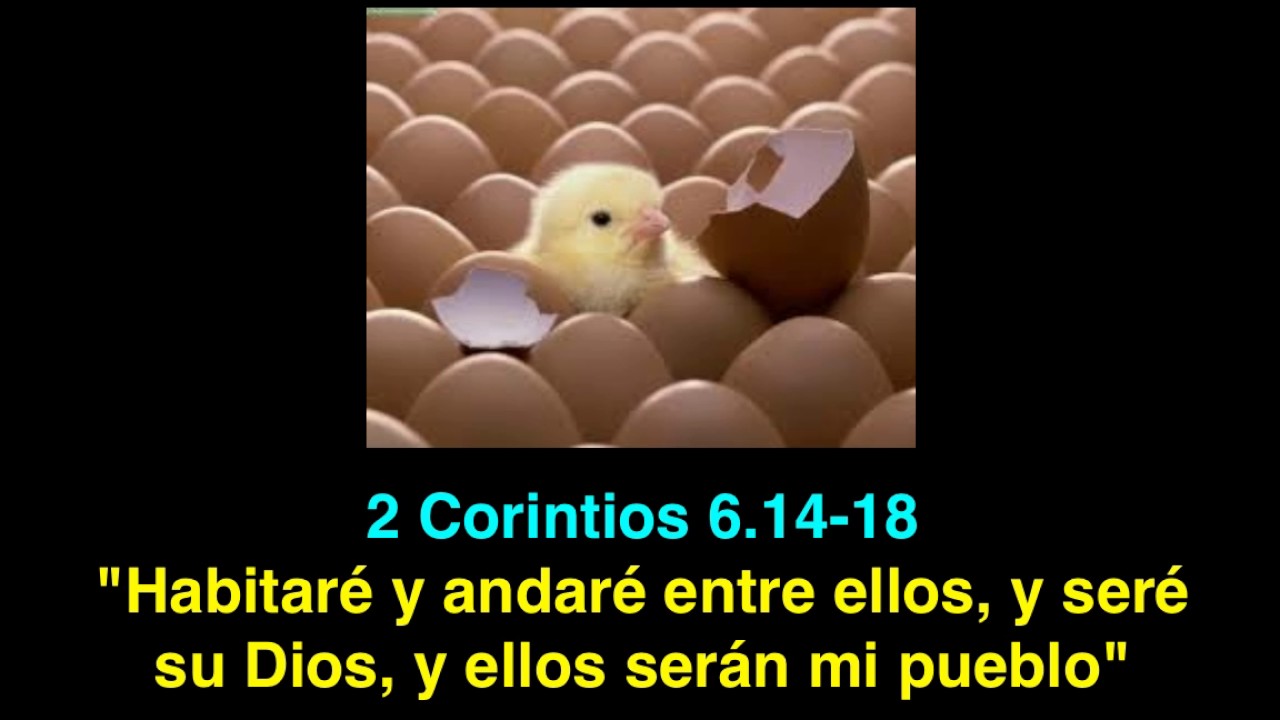 2 Corintios 6 14 18 Somos Templos Del Dios Viviente