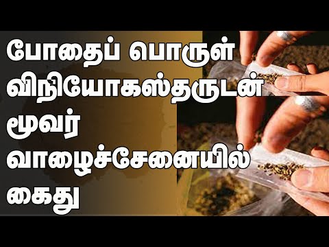 போதைப் பொருள் விநியோகஸ்தருடன் மூவர் வாழைச்சேனையில் கைது|Tamilwin News