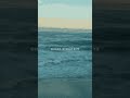 Wellerman #trendingshorts #song #lyrics #songlyrics #nathanevans #wellerman #seashanty