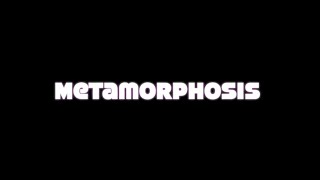 Metamorphosis - 30 Day Painted Lady Butterfly Transformation Timelapse