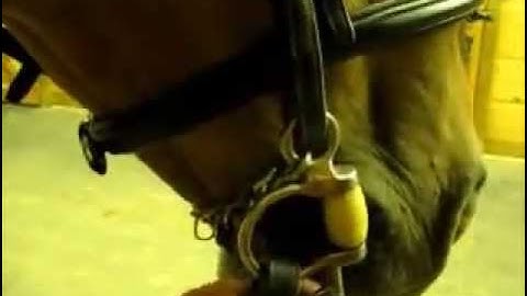 A Bit About Bits:  The Boucher/Pelham Experiment