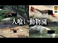 実在する生きて帰れない動物園4選