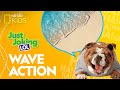 Ocean-Themed Jokes and Puns