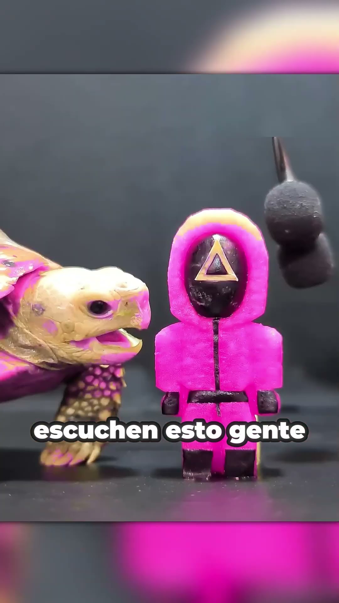 TORTUGA vs GUARDIA de SQUID GAMES ASMR?