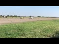 Skoda Octavia RS vs Porsche Cayman