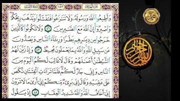 سورة الأنفال                                     صفحة   ١٨٣🗓 من الأية ( ٤٦ ) إلى الأية( ٥٢ )