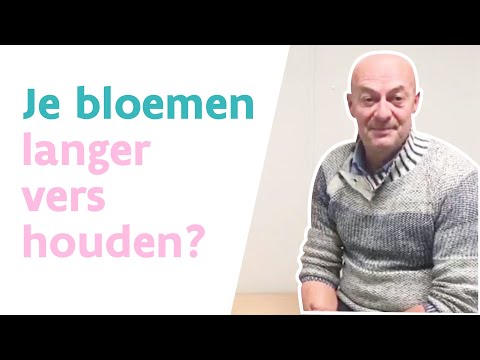 Video: Hoe fineer te schilderen (met afbeeldingen)