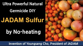 How to make powerful natural organic fungicide the JADAM Sulfur. (how to melt sulfur without fire)