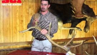 How to Measure Elk Antlers