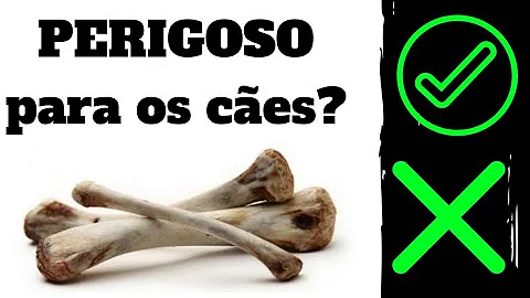 O que é bom para fortalecer os ossos do cachorro?
