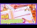 МОЙ ЕЖЕДНЕВНИК | Как Я Веду ЕЖЕДНЕВНИК?