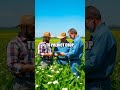 The Future of Smart Agriculture Technologies