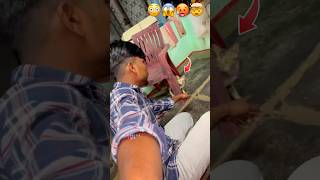 The Cat Came Back Like A Soul