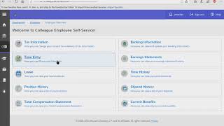 NEW Colleague Self Service Time Entry for Exempt Employees