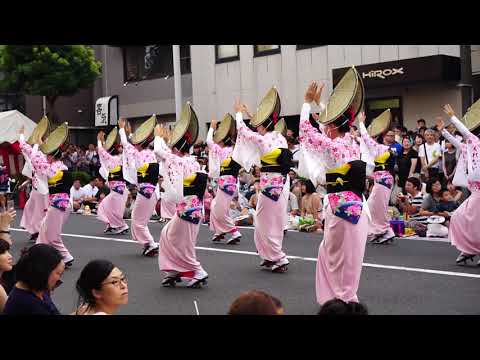 高円寺阿波おどりTokyo dance Koenji Awa Odori（dance） Festival 東京観光 夏祭り