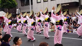 Koenji Awa Odori Tarian Tokyo Koenji Awa Odori (tarian) Festival Festival musim panas tamasya Tokyo