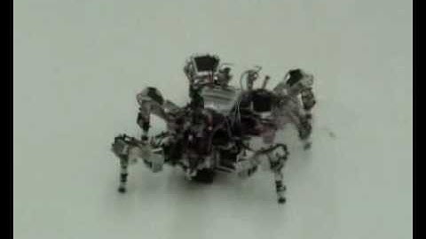 Adaptive walking under neural chaos control and learning