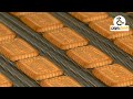 خطوط انتاج بسكويت الشاى الساده السوفت Soft Biscuit Forming Machine 