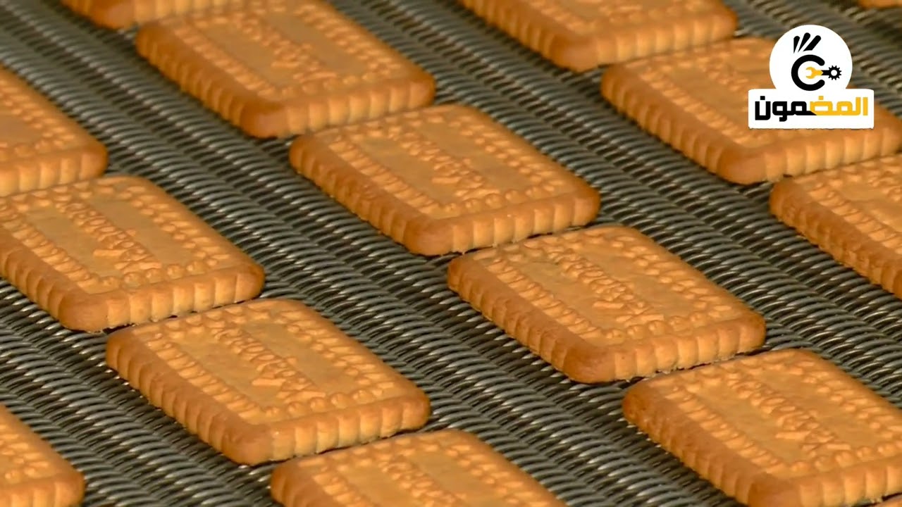 خطوط انتاج بسكويت الشاى الساده السوفت Soft biscuit forming machine
