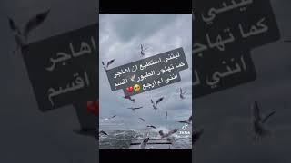 ليتني أستطيع أن أهاجر كما تهاجر الطيور أقسم أنني لم أرجع?