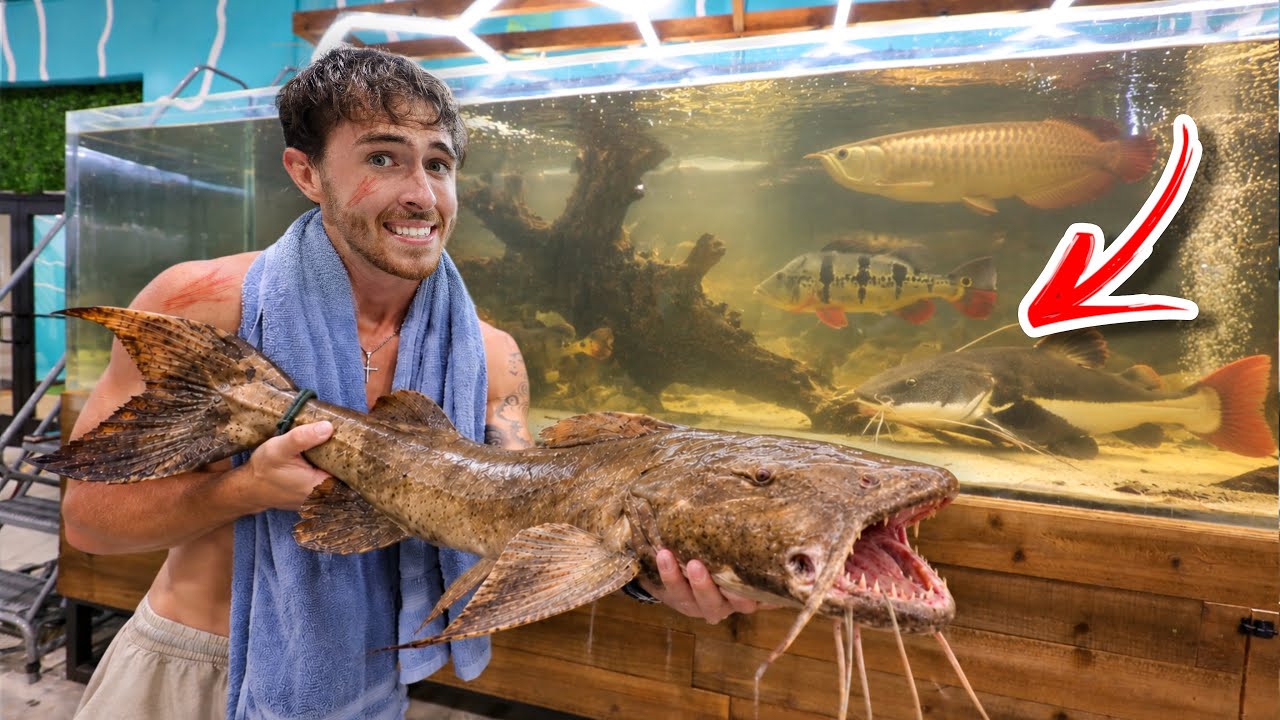 My New Pet MAN-EATING Fish...