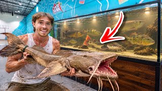 Details I Bought this MAN-EATING Fish for my Tank… Guide