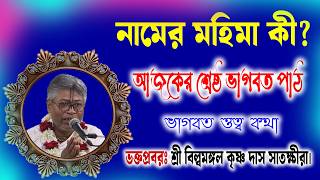 নামের মহিমা কী? শ্রেষ্ঠ ভাগবত আলোচনা। শ্রী বিল্বমঙ্গল কৃষ্ণ দাস সাতক্ষীরা। Billo Mangal Bhagwat Path