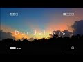 Dandelions  ruth b  angelo quiminales cover