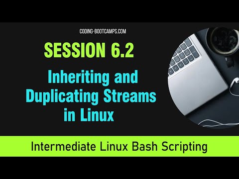 Master Linux Bash
