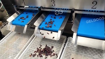 Automatic Date Grading Machine  Size Sorting Equipment for Dates