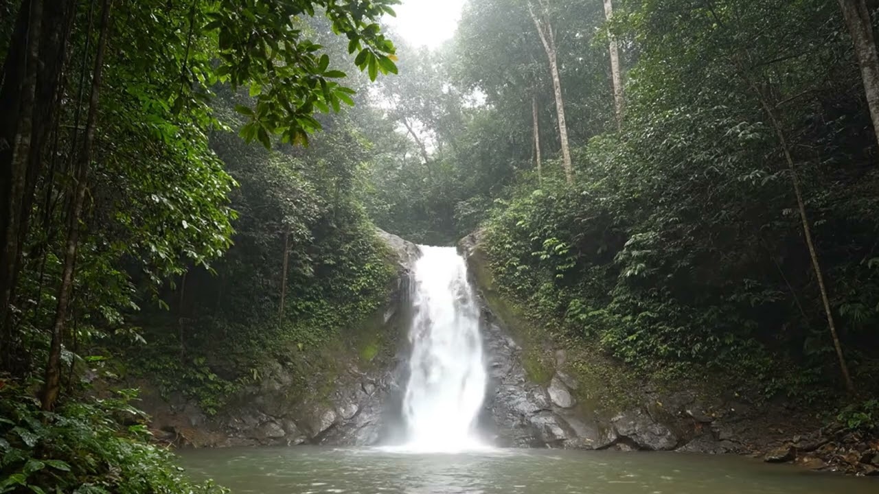 Успокаивающий водопад для учебы (8 часов) | Глубокий рокот тропического леса