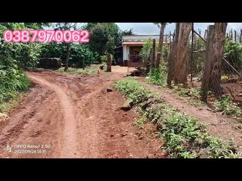 Video bán 190m mặt đường nhựa.lien thôn gia chỉ 9tr 1m. - YouTube