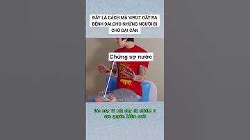 Đây là cách mà virus gây ra bệnh dại cho những người bị chó dại cắn