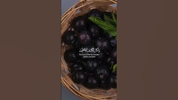 القرآن الكريم القارء عبد العزيز سحيم #المصحف #القرآن_الكريم #عبدالعزيز_سحيم