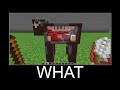 Minecraft WAIT WHAT meme 24/7 Livestream #283