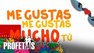 Video thumbnail of "Me Gustas, Profetas - Video Letra"
