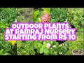 Outdoor planta at ramraj nursery starting price at rs 10 ramiyas gardening and travel vlogs